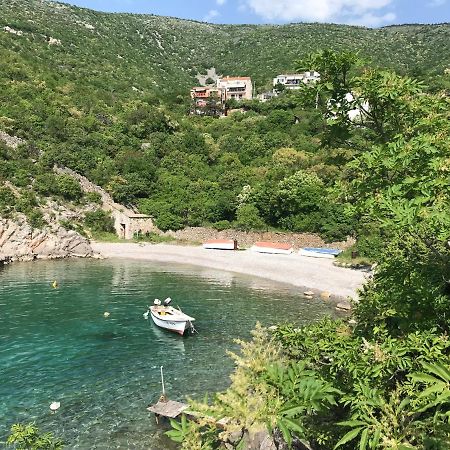 Apartments Mediterano Senj  Dış mekan fotoğraf